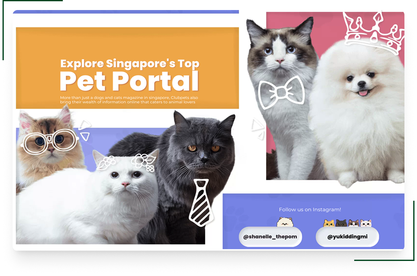 Clubpets digital content