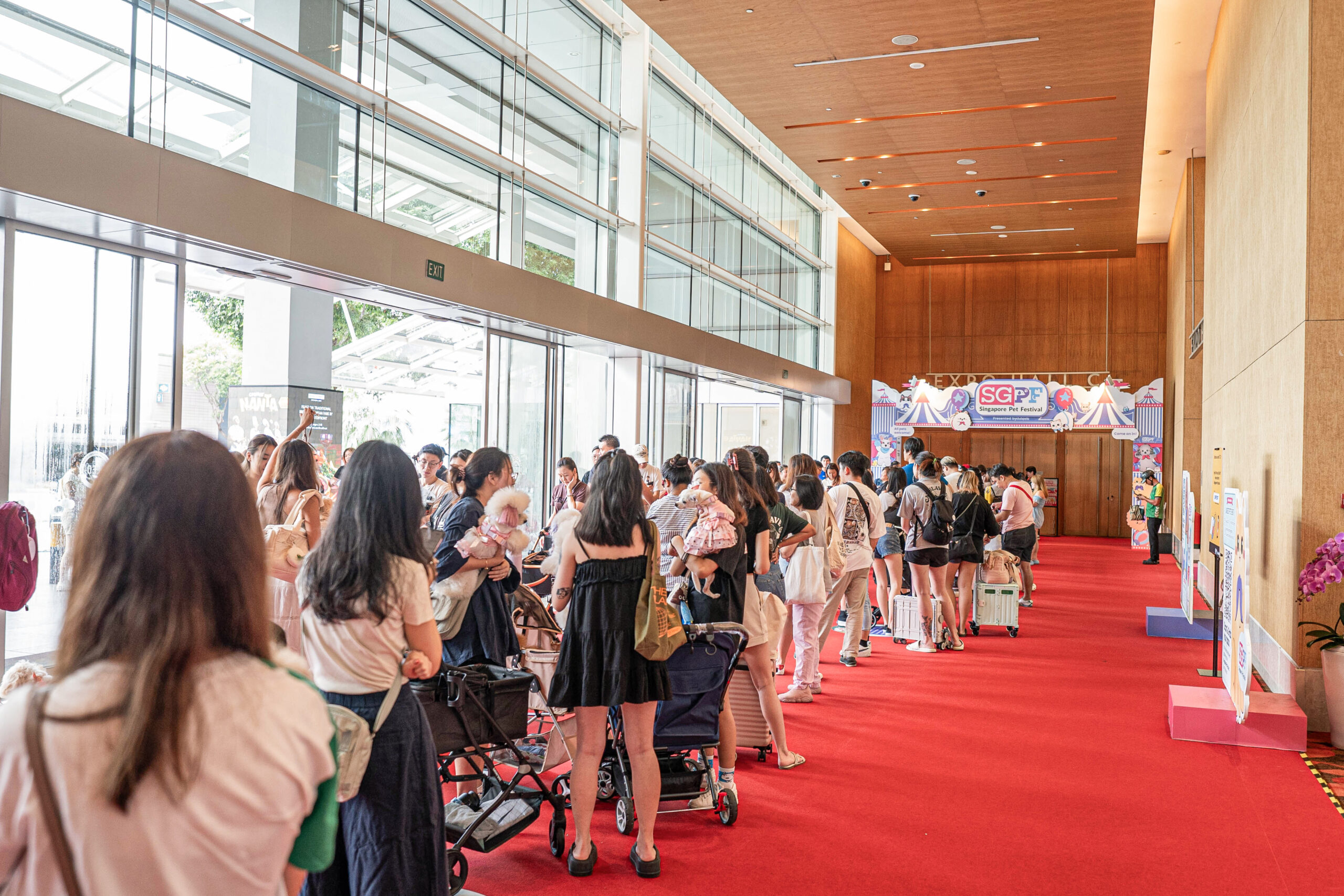 Singapore Pet Festival