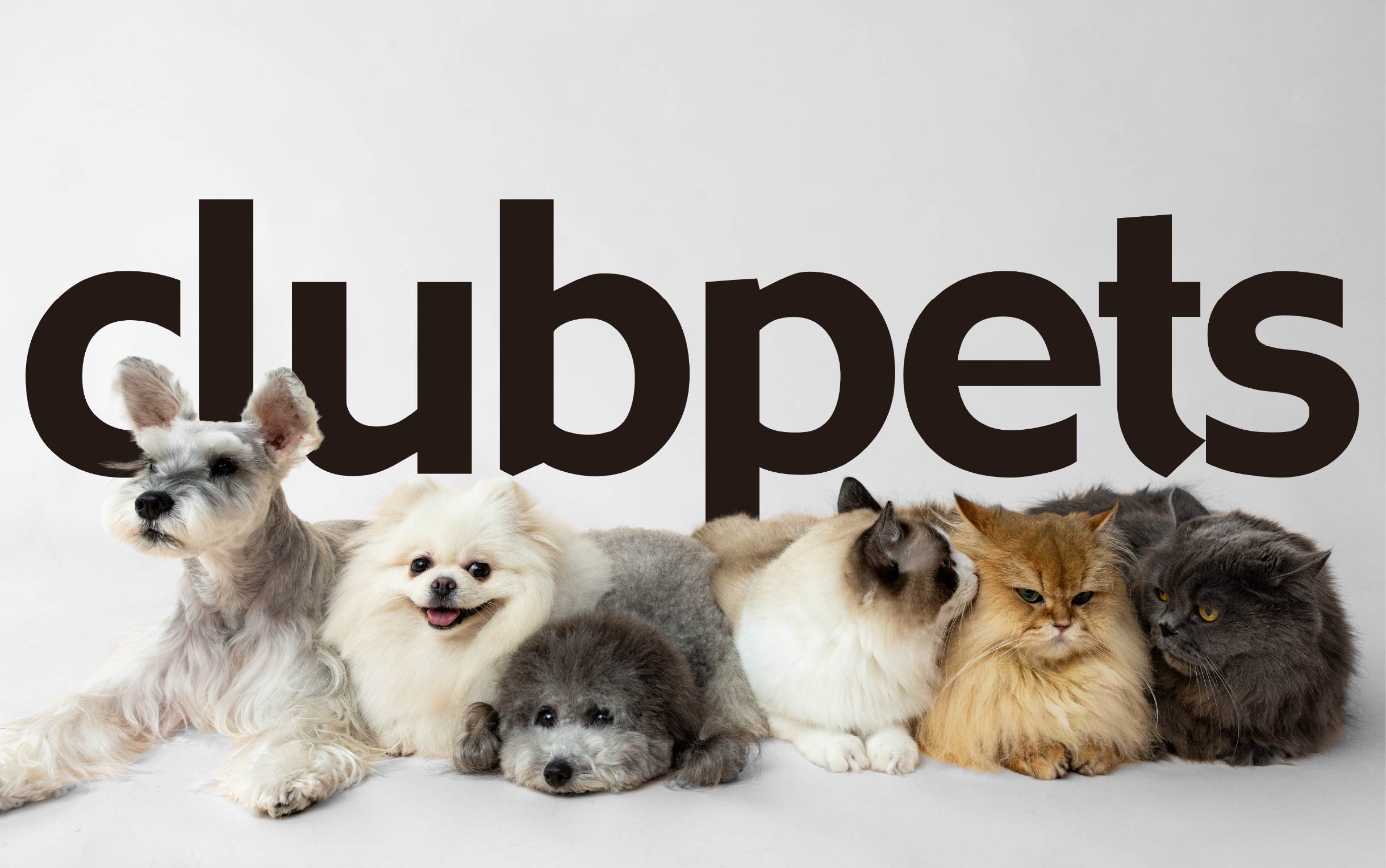 Clubpets — Singapore pets