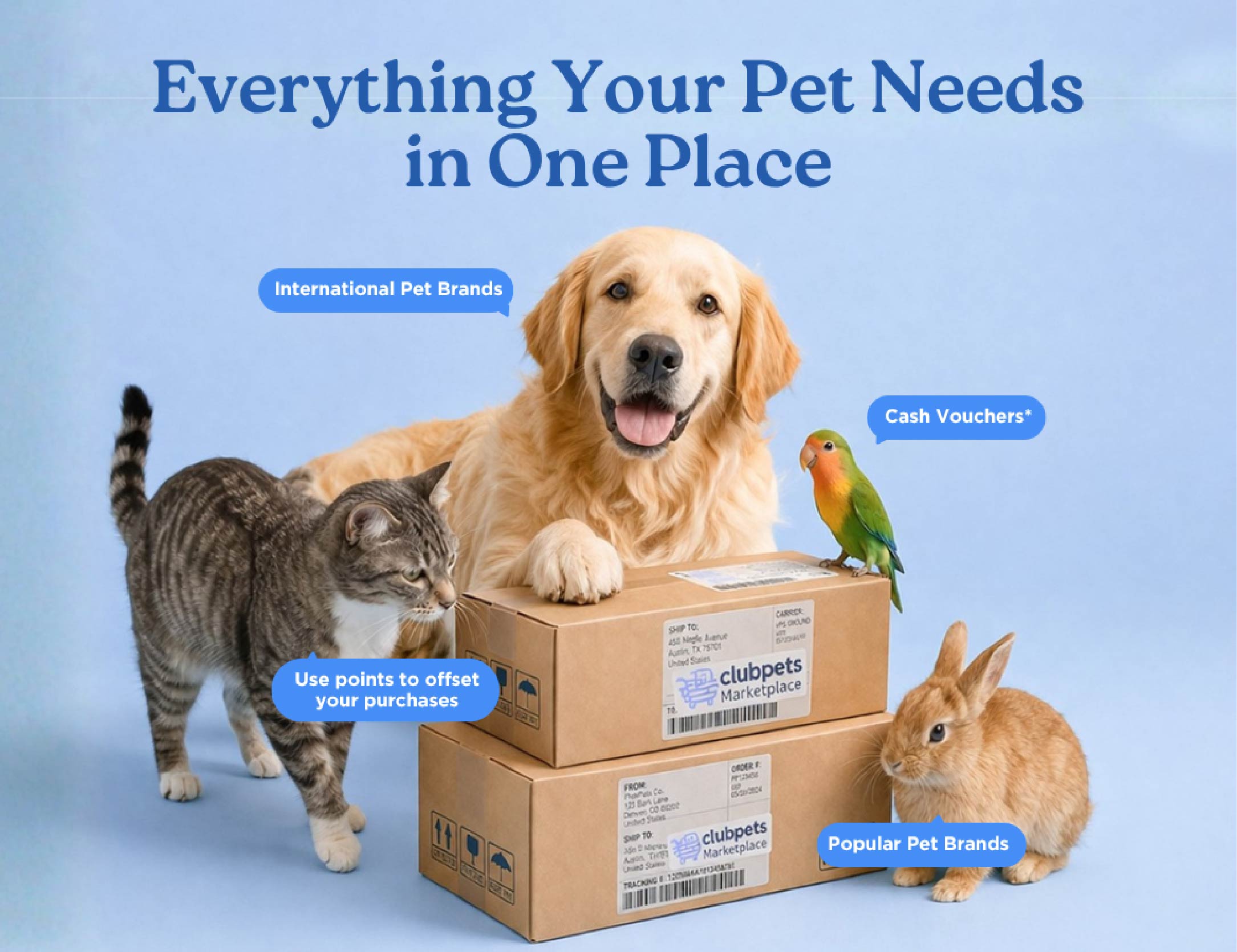 Clubpets marketplace
