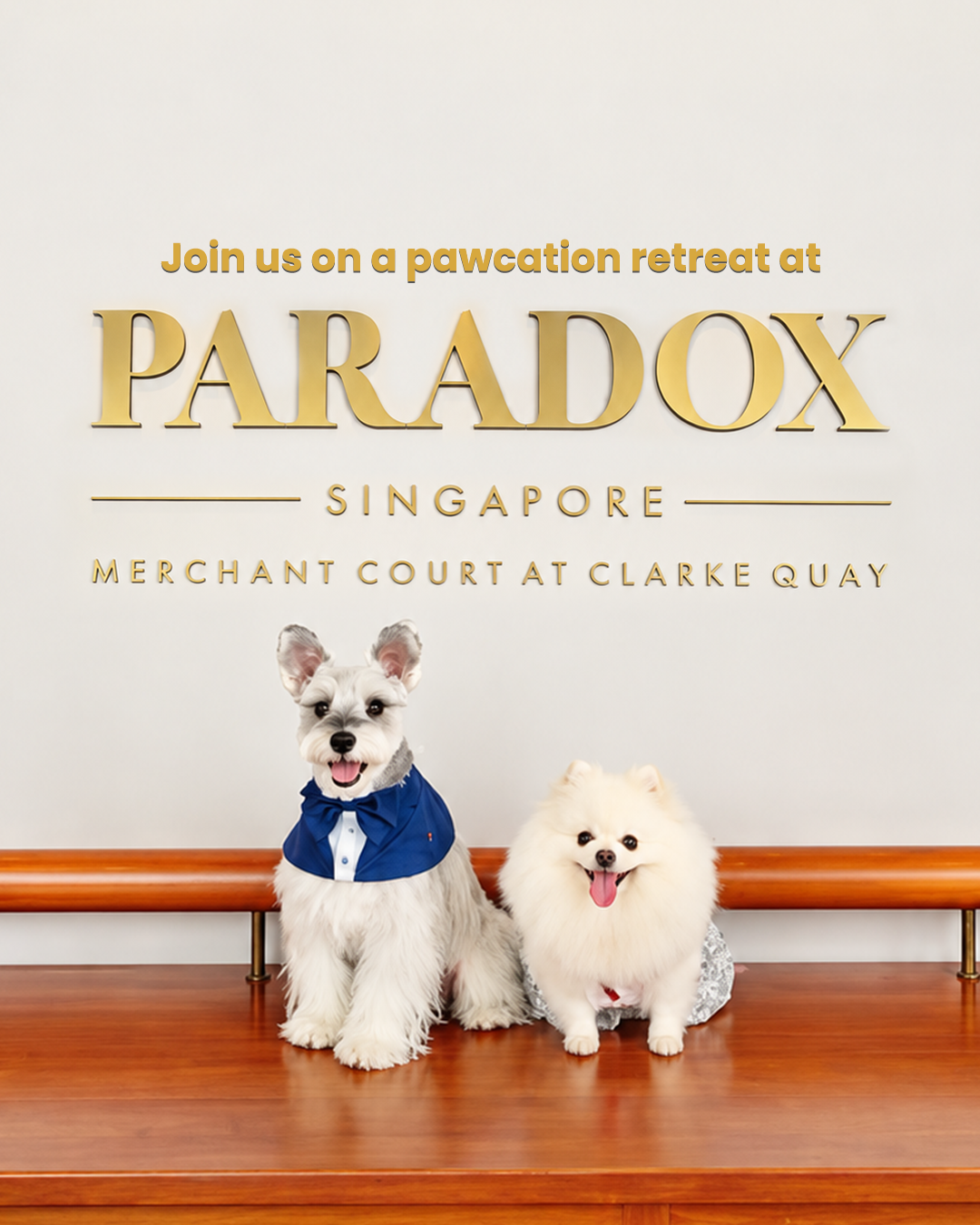 Paradox Singapore